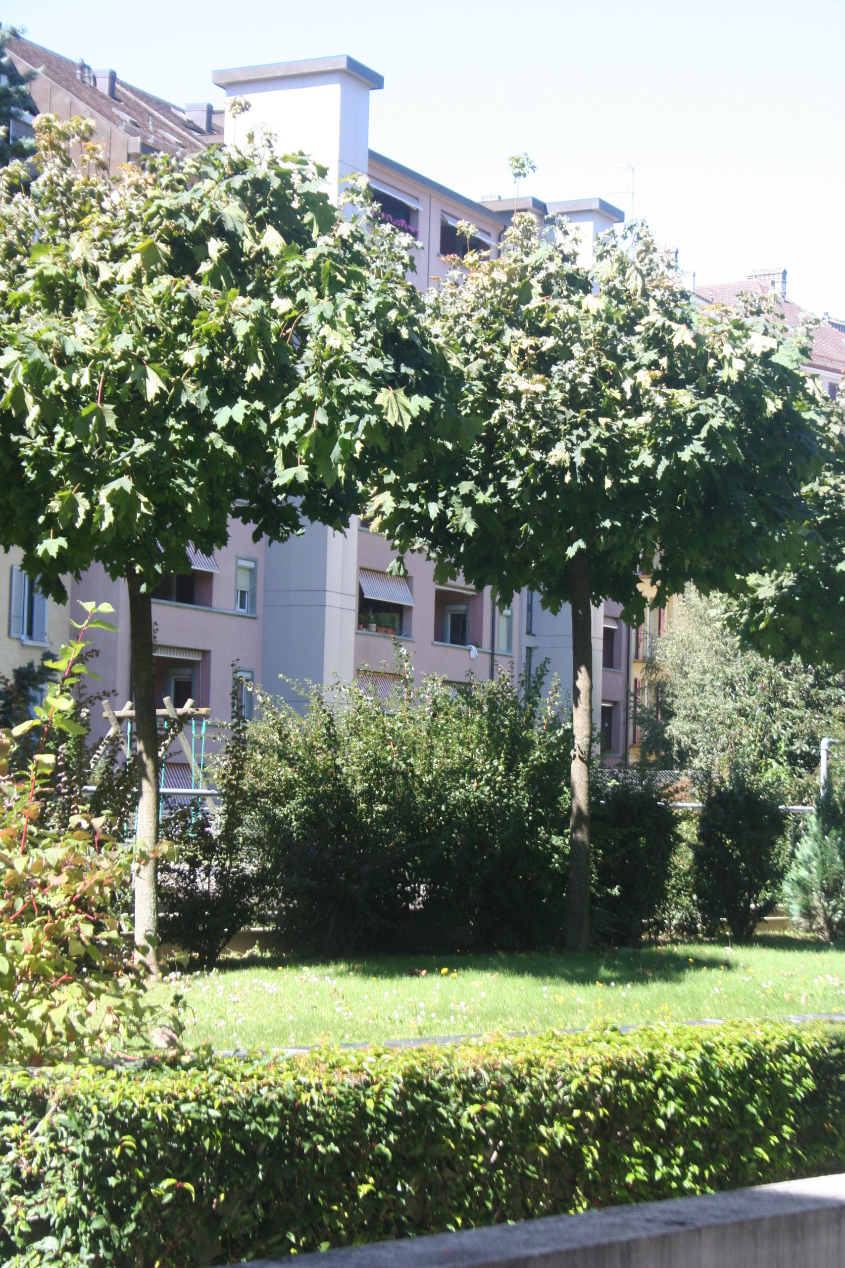 Av. de Grammont 22, Lausanne - 1,5 pièces 3