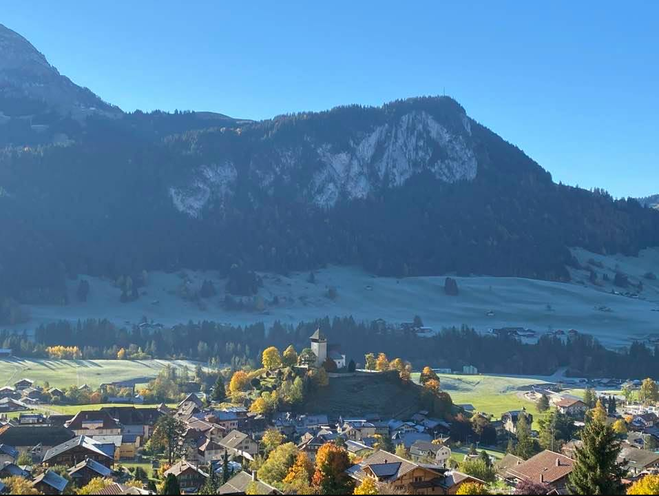 Chalet Château d'Oex 52