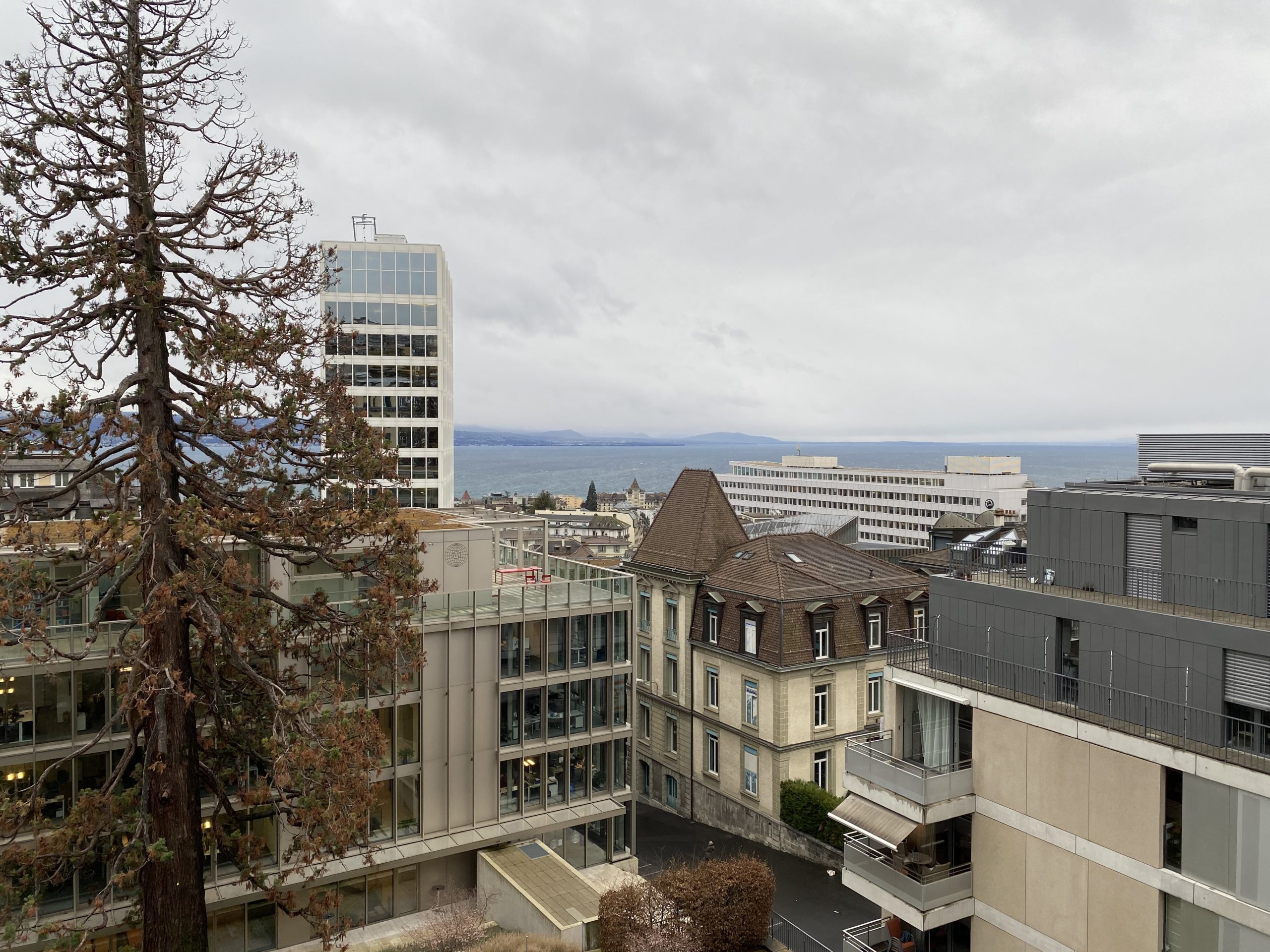 Rue Beau-Séjour 8 Lausanne - 2.5 p - 6ème (Duplex) - E06.14 5