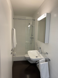 Rue Beau-Séjour 8 D, Lausanne – 3 pièces – 4ème 44